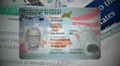 Grandes noticias para inmigrantes en EEUU: podrán obtener la Green Card en 2 meses si siguen el consejo de una residente permanente