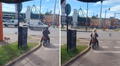 Perrito callejero sorprende al subirse a la moto de un desconocido: "Se adoptó solito"