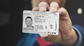 Licencia de conducir mejorada en EEUU: pasos clave para obtenerla y recibir los beneficios