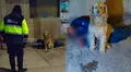 Perrito conmueve al no separarse de su dueño que dormía en una calle de Cusco, pese al intenso frío: “El verdadero amigo fiel”