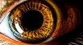 Estudio científico plantea el uso de nanopartículas de oro para restaurar la vista mediante "una nueva prótesis de retina"