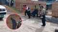 Madre es asesinada por su expareja dentro de su casa en Arequipa, pese a haberlo denunciado 15 veces