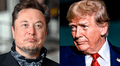 Elon Musk renunció a la administración de Donald Trump tras "decepcionarse" de su política fiscal para Estados Unidos