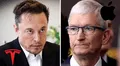 Elon Musk y Apple: la oferta de 5 millones de dólares que Tim Cook rechazó y dejó al mundo tecnológico sorprendido
