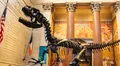 Museos Gratis en Nueva York: conoce los centros culturales que podrás visitar sin costo este verano de 2025