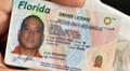 Adiós a la licencia de conducir: Florida multará y retendrá el carné a conductores que no cumplan con esta indicación