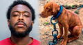Liberan a hombre acusado de arrastrar cruelmente a su perro y lanzarlo por las escaleras: pagó una fianza de US$5.000 en Miami