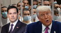 Trump y Rubio confirman excelente noticia: inmigrantes deportados a El Salvador regresarán a EEUU