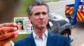 Gavin Newsom elimina la licencia de conducir: incautarían vehículos en California por no respetar esta vigente ley en 2025