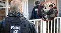 ICE y sus redadas de inmigración en EEUU: arrestan a inmigrante guatemalteco que fue acusado de abuso sexual en Virginia