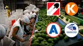 Ley Chlimper 2.0 en manos del Congreso: así votaron las bancadas para favorecer a grandes agroexportadoras