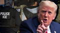 Trump no perdona: arrestos del ICE a inmigrantes ascienden a más de 100.000 y vuelos de deportación aumentan en EE. UU.