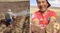 "Habemus papas": Agricultor peruano bromea sobre el papa León XIV durante cosecha y muestra humo blanco