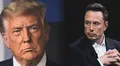 Elon Musk borra tuit que vinculaba a Donald Trump con Jeffrey Epstein en medio de su disputa pública en redes sociales