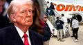 No solo inmigrantes de América Latina: Donald Trump y el ICE planean deportar a este nuevo grupo residente en EEUU, según estudio