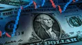 Dólar paralelo en Venezuela hoy, 12 de junio 2025: consulta la tasa actualizada de Monitor Dólar