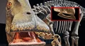 El 'Nigersaurus', el asombroso dinosaurio que tenía 500 dientes afilados como cuchillas y los remplazaba cada 14 días