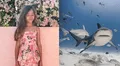 Niña de 9 años sobrevive tras ser mordida por un tiburón en Florida: médicos reconstruyeron su mano tras el ataque