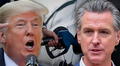 Duro golpe de Trump a California: presidente bloquea ley ambientalista que prohíbe los carros de gasolina en el estado