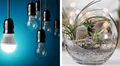 ¿Qué hacer con los focos quemados? Recíclalos y crea decoraciones ecoamigables para tu hogar