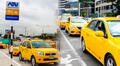 Color amarillo y otros elementos adicionales: todo lo que tienen que implementar los taxistas antes del 14 de junio