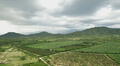 De tierras secas a amplios cultivos: Cómo Olmos impulsa la productividad agrícola en Valle Viejo