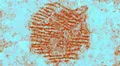 Los arqueólogos se encontraron el rastro de un dedo neandertal impreso intencionalmente en una piedra