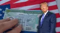 ¿Trump y su Green Card para los ricos? Esta es la propuesta del presidente de EEUU para obtener la residencia legal