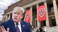 El veto de Trump a estudiantes internacionales pone a Harvard en la cuerda floja: ¿Quién ganará?