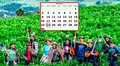 ¿Qué festividades se celebran el 24 de junio en Perú? Día del Campesino y más