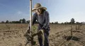 Poemas cortos por el Día del Campesino 2025 en Perú para niños de primaria e inicial