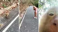 Travieso monito le roba el teléfono a una turista y graba un curioso video: "Bienvenidos a mi en vivo"