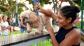 Lista de malls pet friendly en Lima: conoce los centros comerciales que aceptan mascotas
