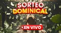 [Telemetro] Lotería de HOY: verificar Sorteo Dominical del 22 de junio, qué números cayeron e incentivos en Panamá