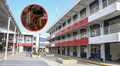 Así es el colegio sismorresistente en el Perú que costó más de S/ 100 millones: puede ser utilizado como refugio en caso de desastres naturales