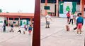 Perrito callejero es captado jugando 'Lingo' con niños y usuarios bromean: "El también quiere saltar"