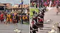 Perrito se queda dormido en pleno Inti Raymi y actores decidieron no molestarlo: “El favorito del inca”