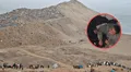 Caen ‘Los Moticucos del Morro Solar’ en Chorrillos: se tomaron selfie con celular robado y los atraparon