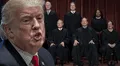 Nuevo golpe de Trump a inmigrantes en EEUU: demandan a 15 jueces de Maryland por orden que bloquea deportación inmediata