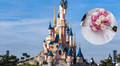 Hombre intentó casarse con una menor en una 'boda falsa' en Disney París: sujeto fue arrestado
