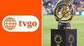 El Mundial de Clubes 2025 gratis por América TV: descubre cómo ver los encuentros en línea