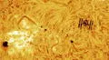 La Estación Espacial Internacional fue fotografiada mientras estalla una llamarada solar en un momento perfecto