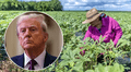 Excelentes noticias para inmigrantes en EEUU: Trump anuncia nuevo "pase temporal" para trabajadores de esta industria