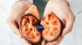 La enfermedad renal avanza en silencio: siete hábitos clave para cuidar tus riñones desde joven