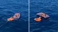 Niño de 5 años y su abuela sobreviven tras ser arrastrados 4 kilómetros mar adentro en Nápoles, Italia
