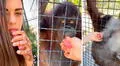 Deportista rusa genera indignación tras difundir video donde hace fumar a orangután en peligro de extinción