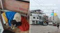 Peruana acoge a perritos callejeros en su tienda en Ventanilla y usuarios resaltan su noble acción: "Dios bendiga tu negocio"