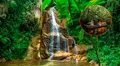 ¿Qué necesitas para viajar a la Amazonía peruana? Consejos y los lugares clave para aprovechar al máximo tu visita a la selva