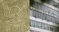 Líneas de Nasca en riesgo: investigan a funcionarios por la reducción de más de 2.000 km² de zona protegida