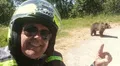 Turista muere tras ser atacado por oso pardo en Rumanía: se había tomado selfie con uno de sus cachorros